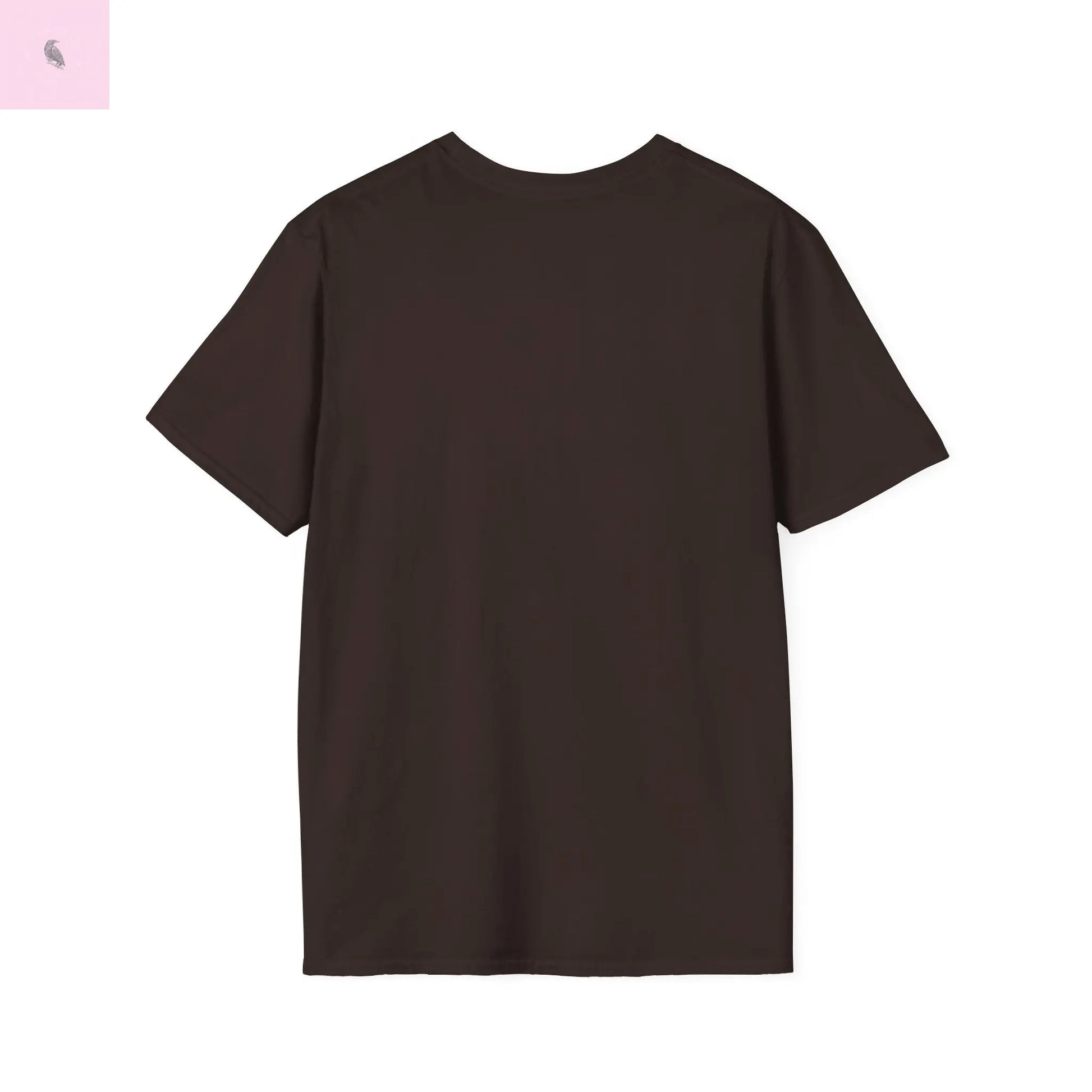 San Francisco vs everybody else T-Shirt The flirty crow
