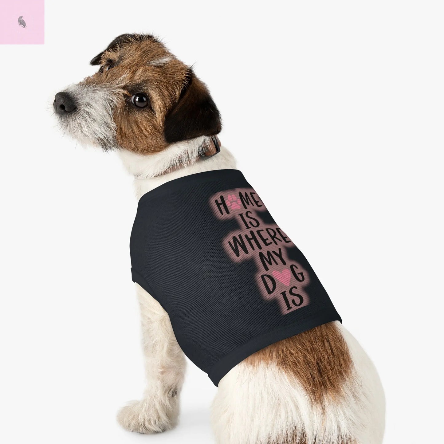 Pet Tank Top with Cute Design The flirty crow