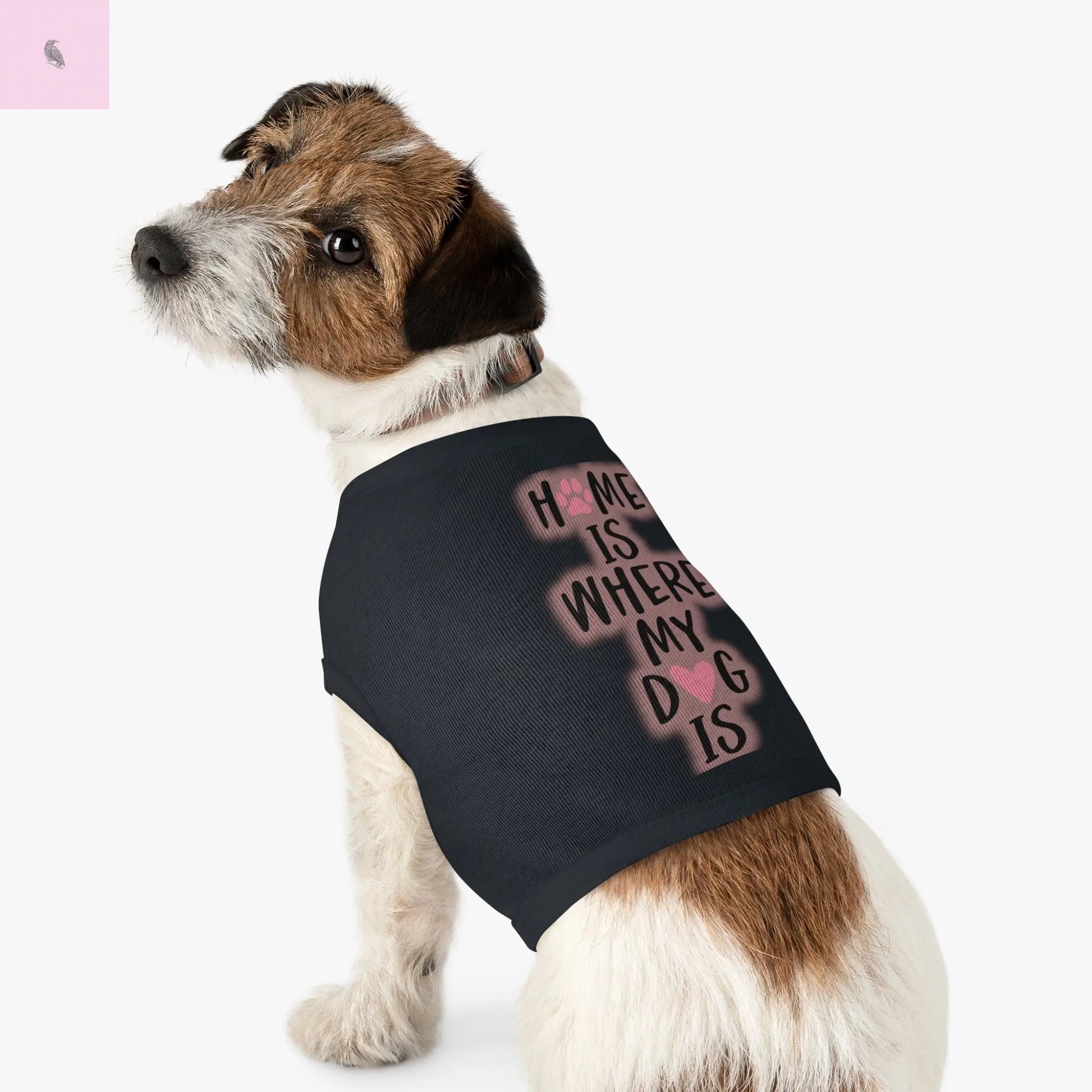 Pet Tank Top with Cute Design The flirty crow