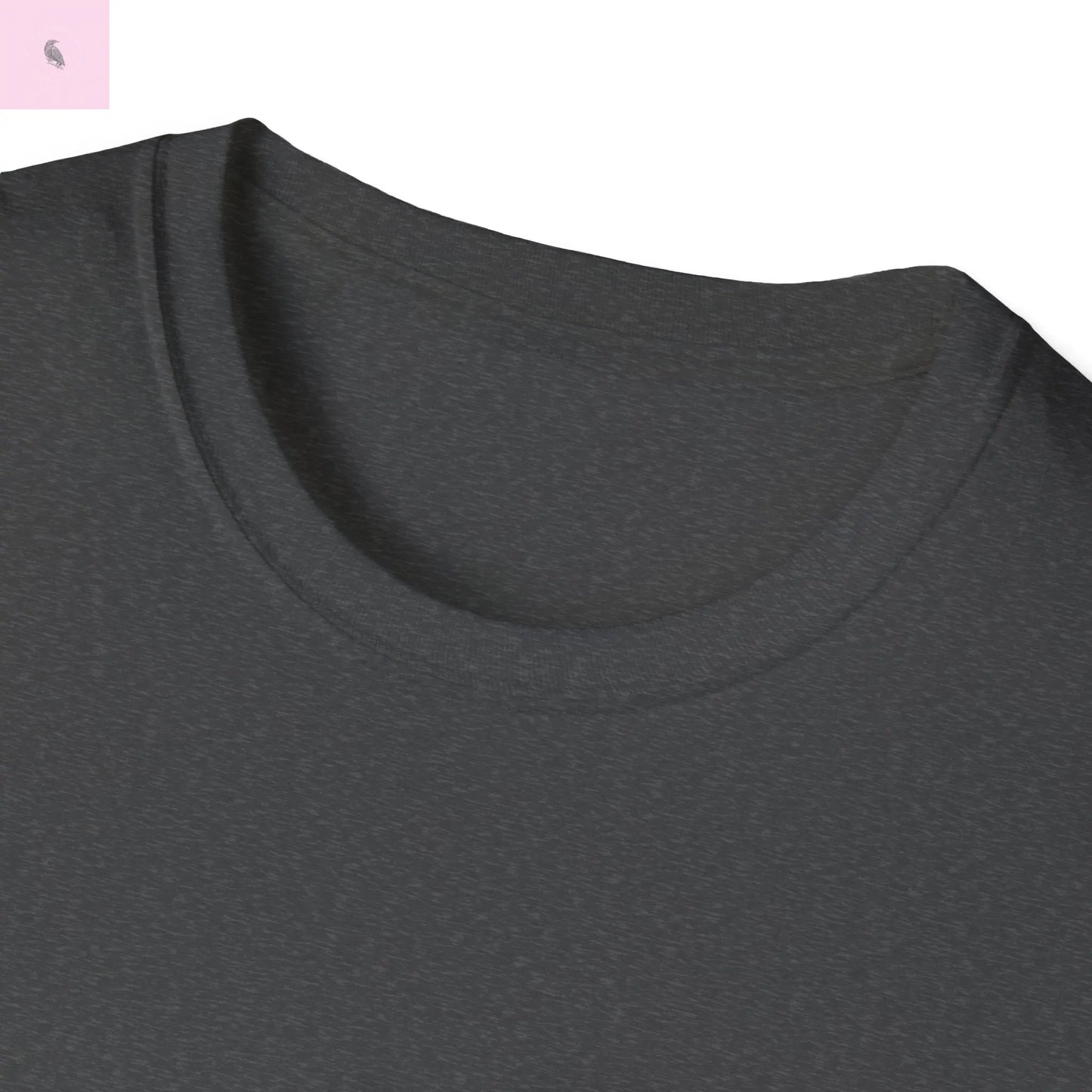 San Francisco vs everybody else T-Shirt The flirty crow