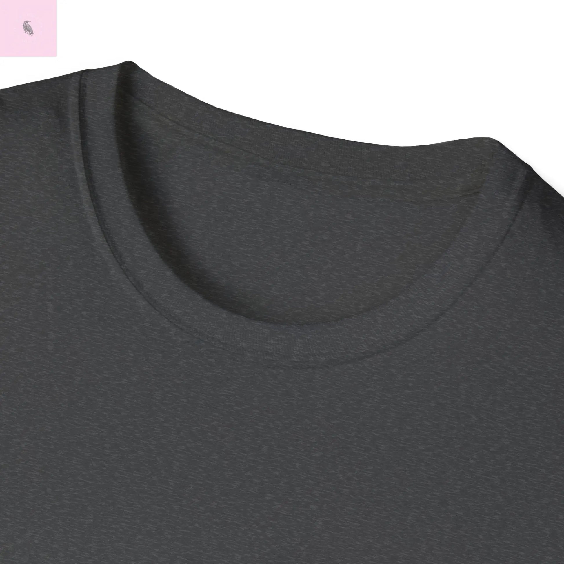 San Francisco vs everybody else T-Shirt The flirty crow