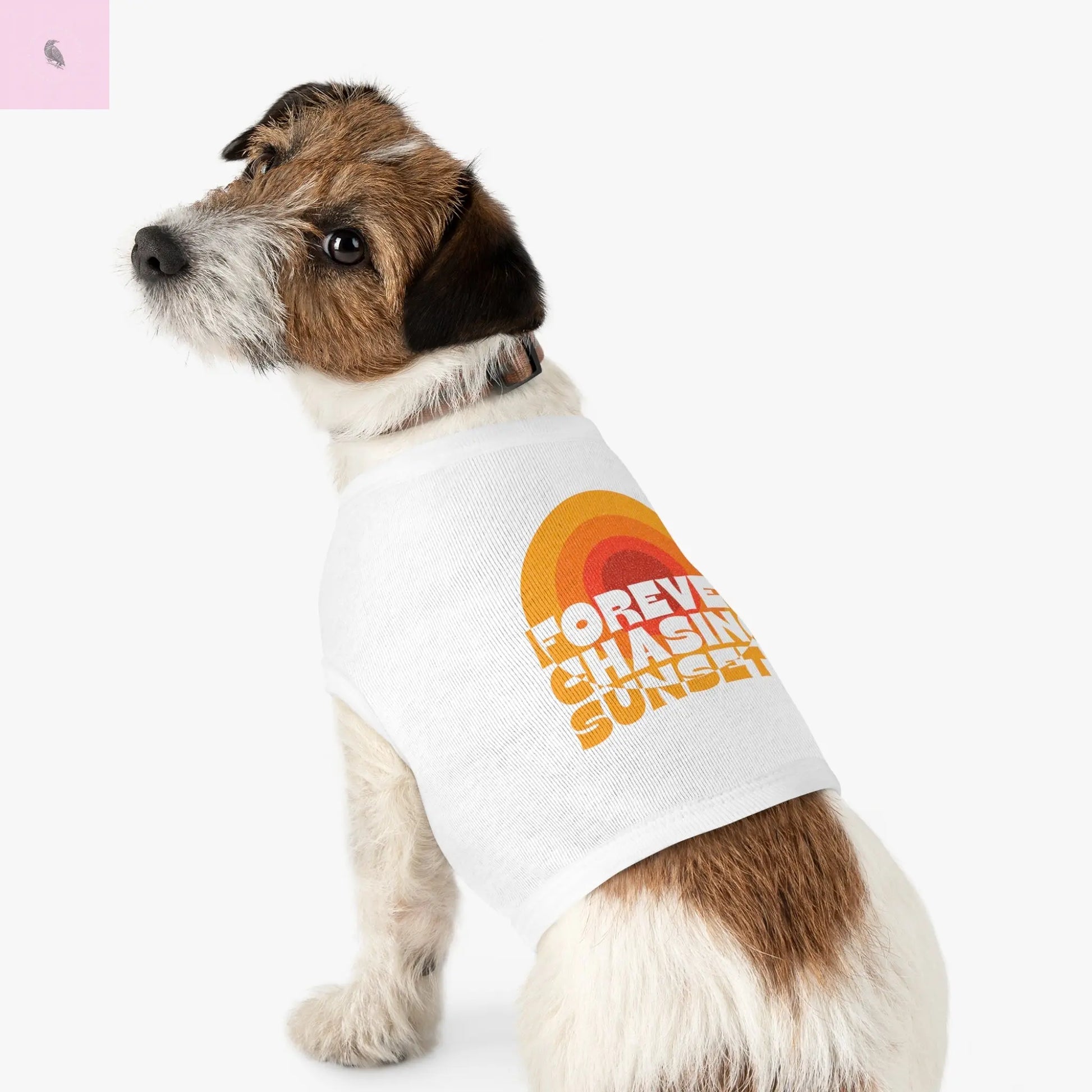 Dog Tank Top - Sunset Chaser Design The flirty crow