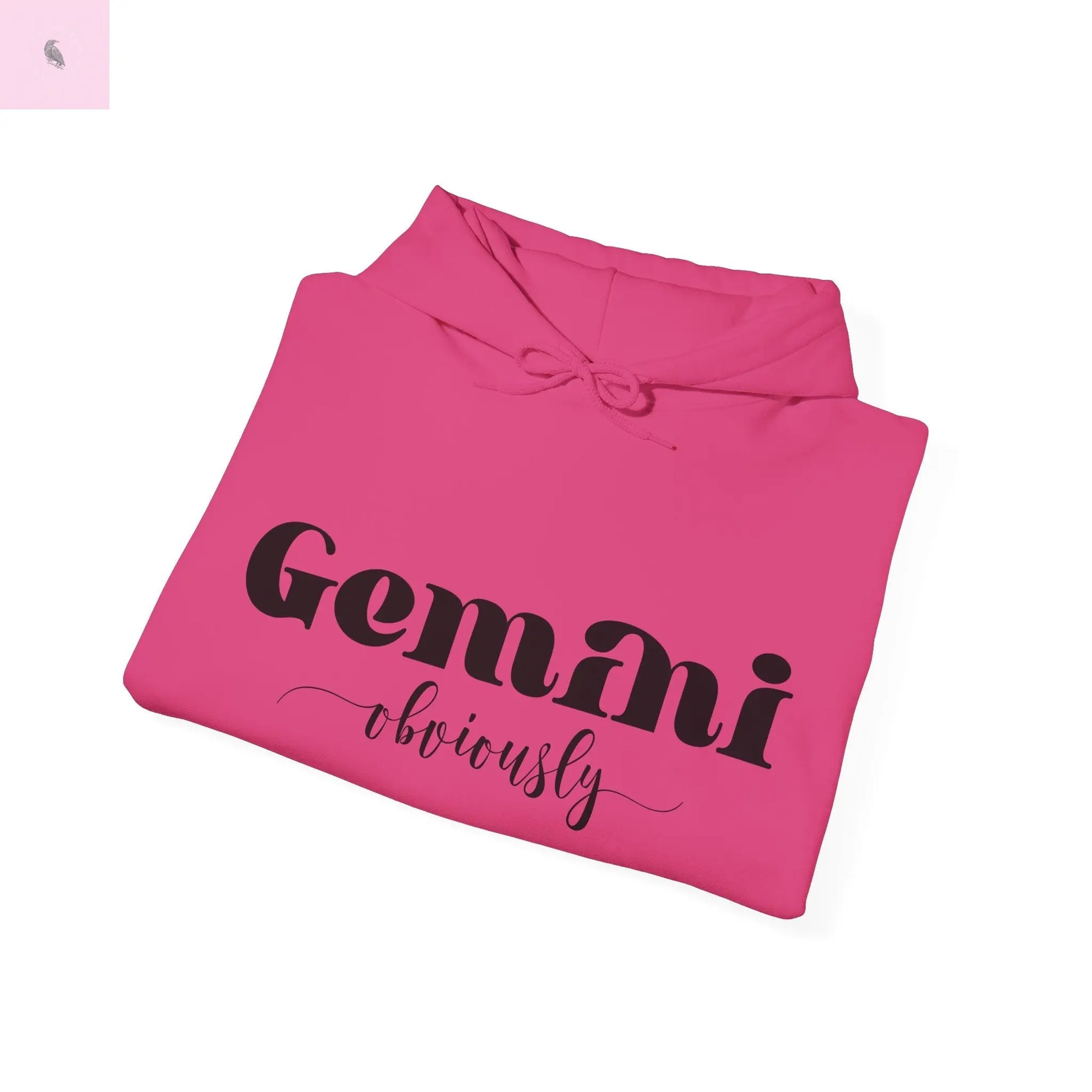 Gemini Lover Hoodie - Zodiac Star Sign Astrology Gift the flirty crow