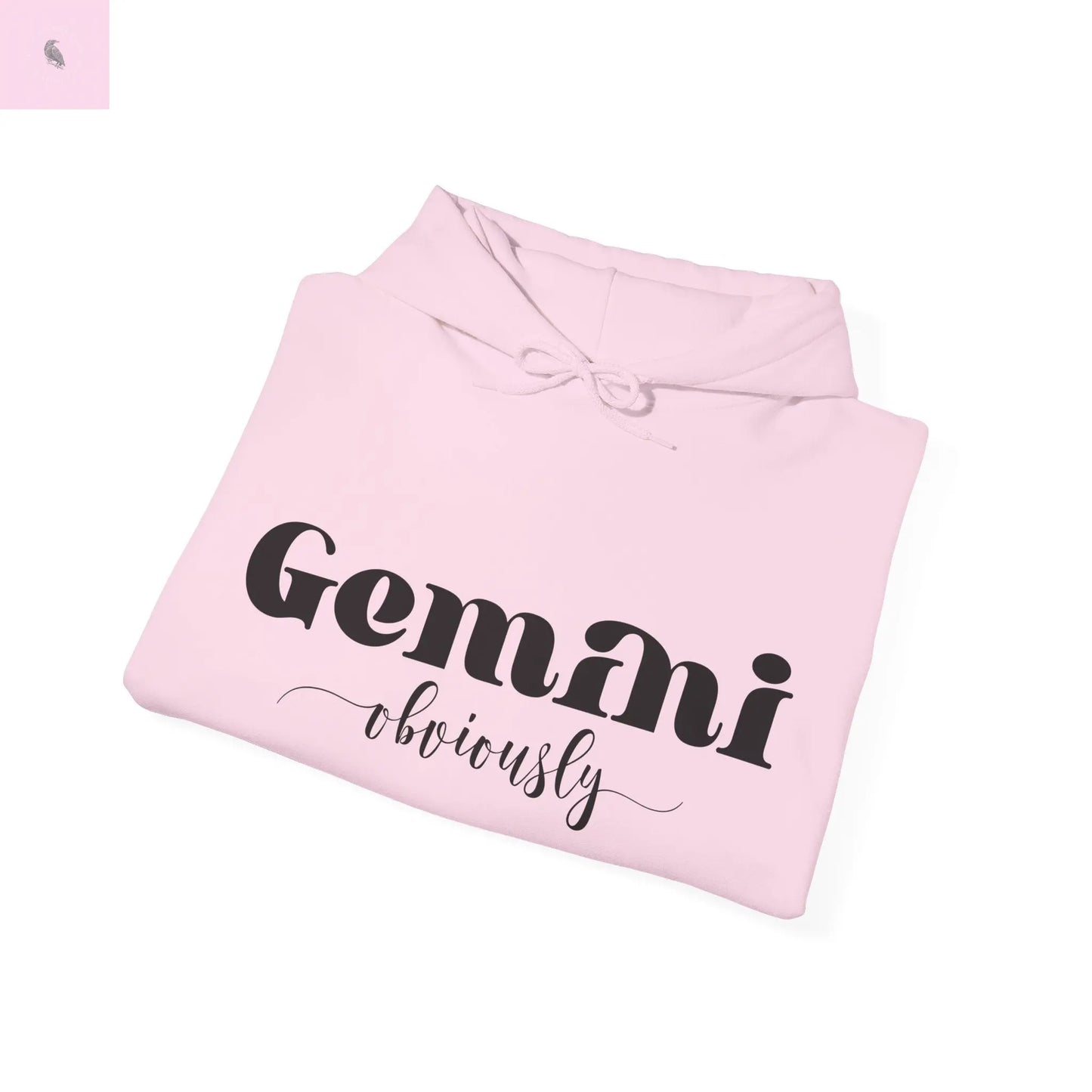 Gemini Lover Hoodie - Zodiac Star Sign Astrology Gift the flirty crow