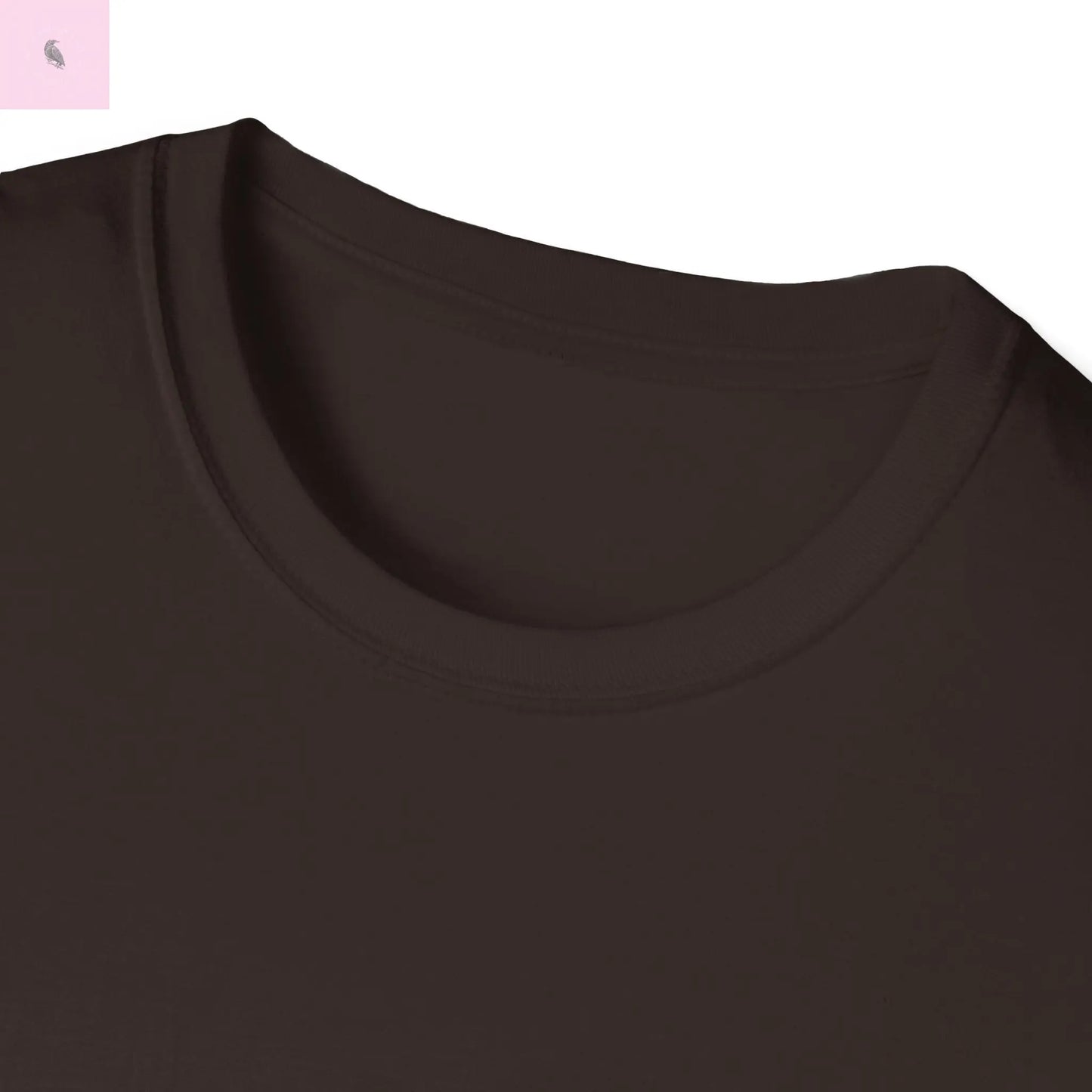 San Francisco vs everybody else T-Shirt The flirty crow