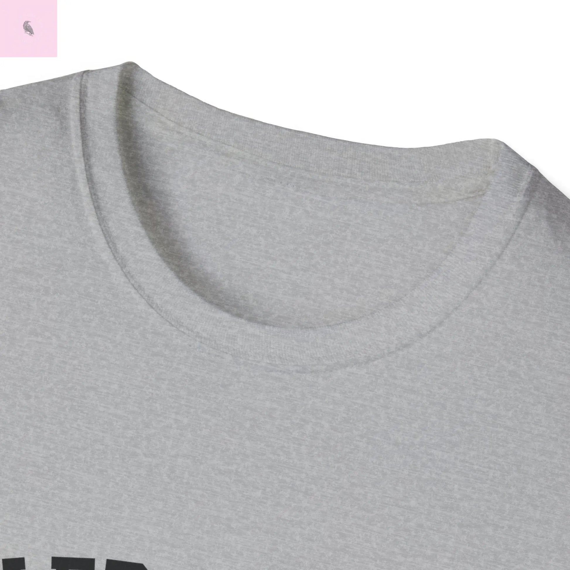 San Francisco vs everybody else T-Shirt The flirty crow