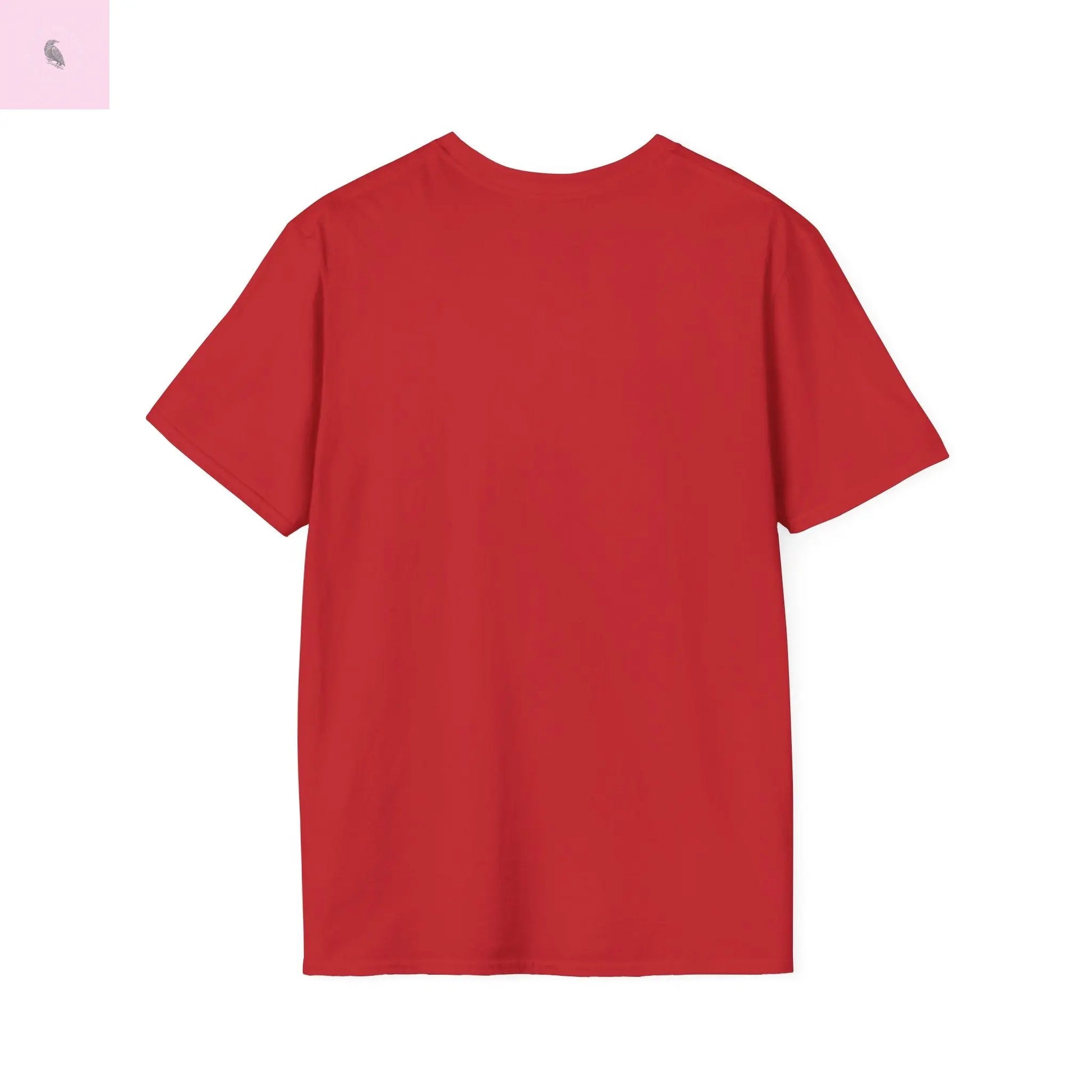 San Francisco vs everybody else T-Shirt The flirty crow