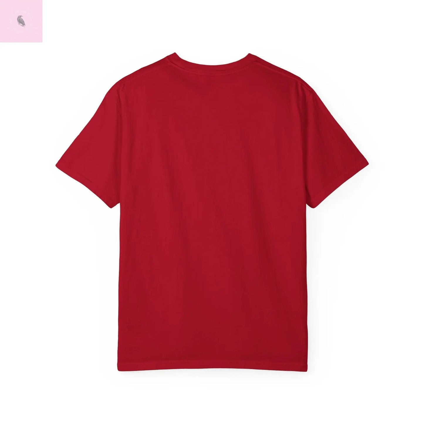 Vintage 49ers Unisex T-Shirt - The flirty crow