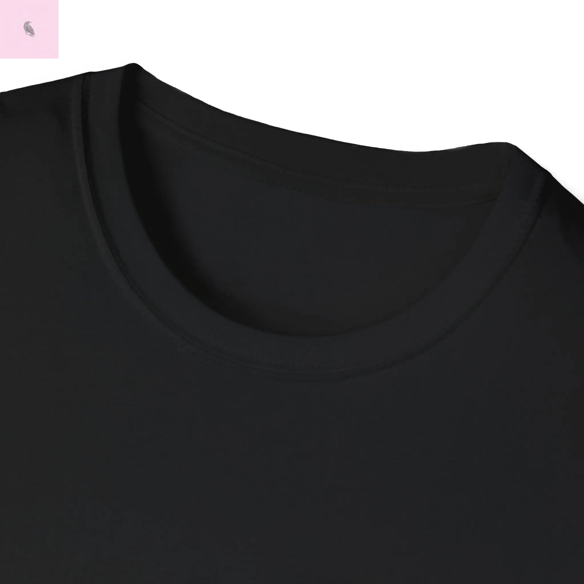 San Francisco vs everybody else T-Shirt The flirty crow