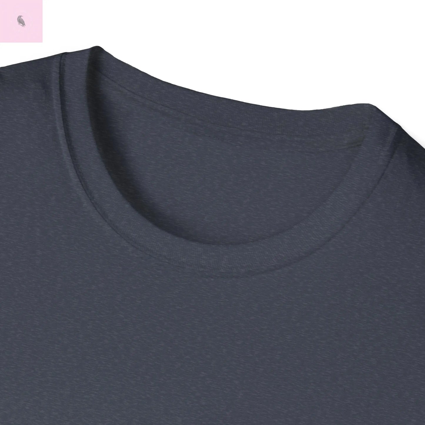 San Francisco vs everybody else T-Shirt The flirty crow