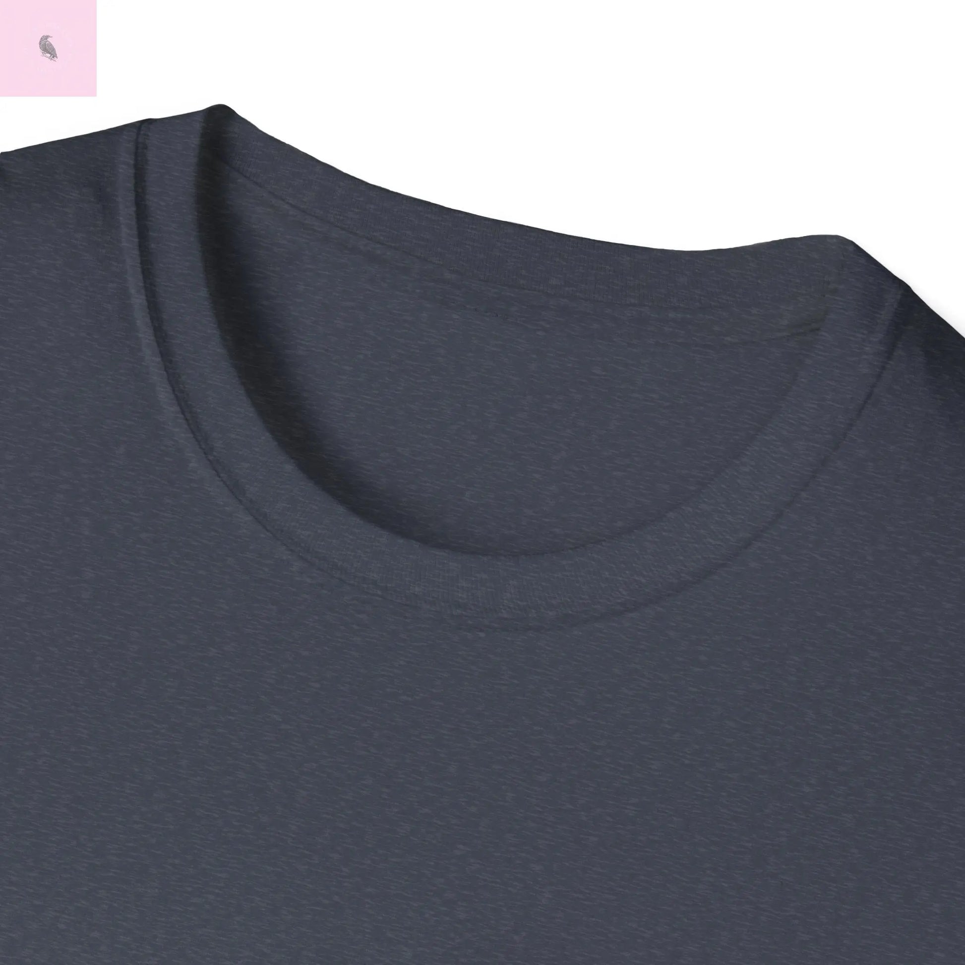 San Francisco vs everybody else T-Shirt The flirty crow