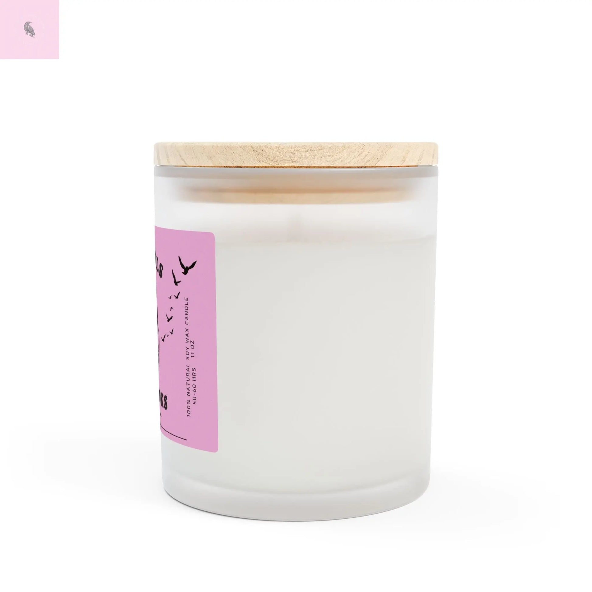 Hot Girls Read Books Frosted Glass Candle - 11oz Aromatherapy Candle for Book Lovers The flirty crow