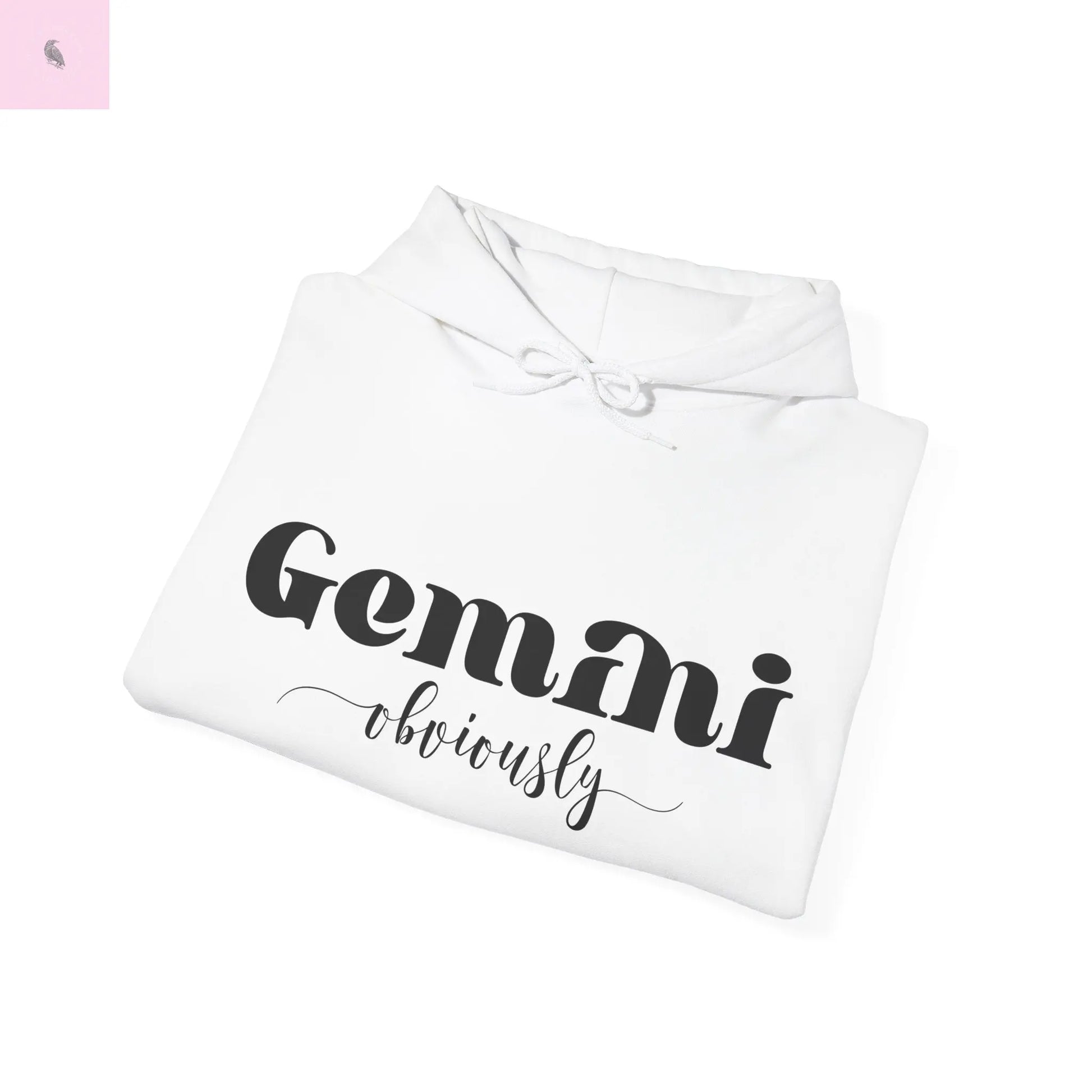 Gemini Lover Hoodie - Zodiac Star Sign Astrology Gift the flirty crow