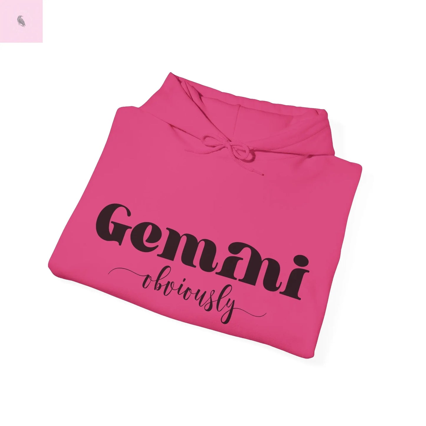 Gemini Lover Hoodie - Zodiac Star Sign Astrology Gift the flirty crow