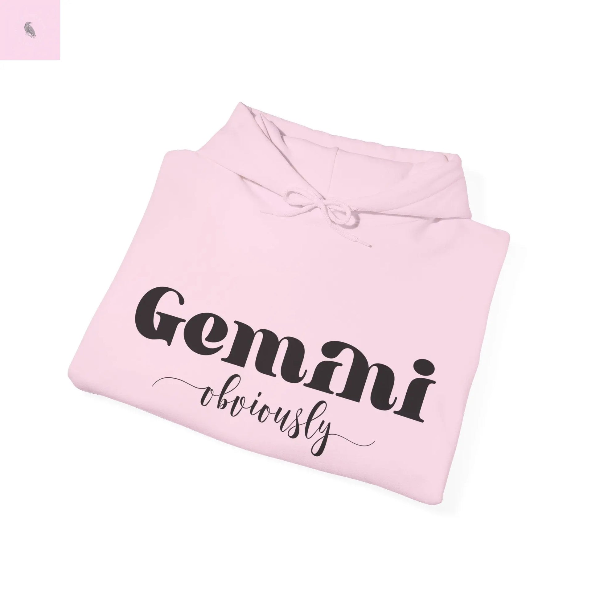 Gemini Lover Hoodie - Zodiac Star Sign Astrology Gift the flirty crow