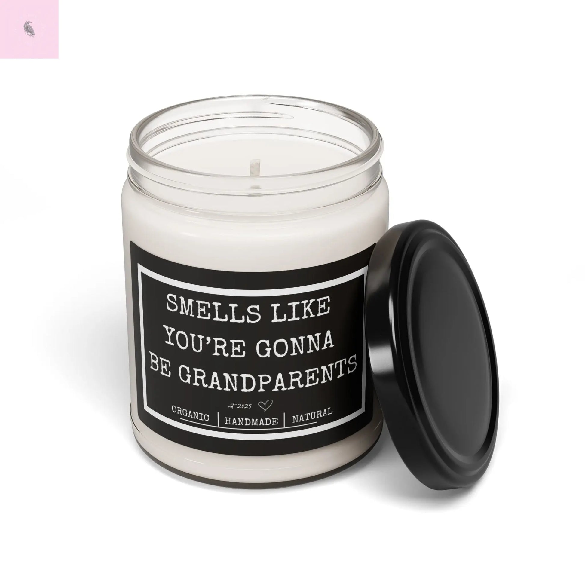 Soy Candle New grandparents gift The flirty crow