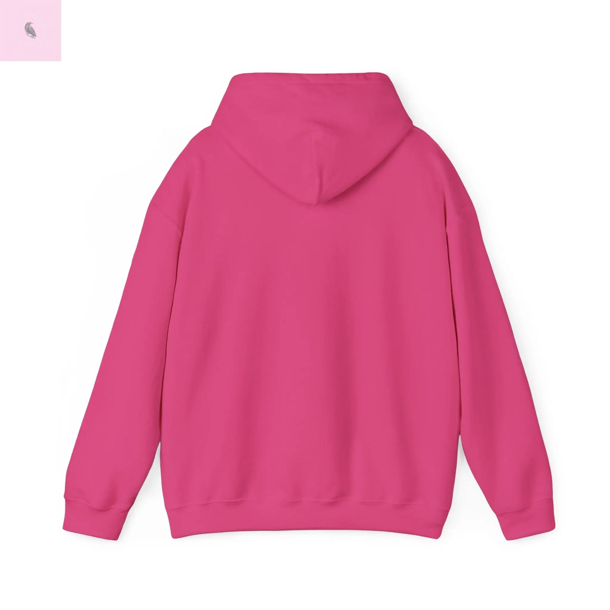 Gemini Lover Hoodie - Zodiac Star Sign Astrology Gift the flirty crow