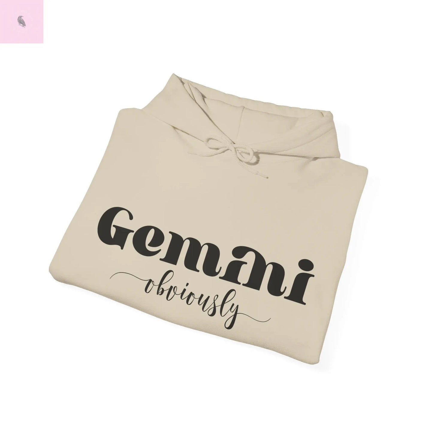 Gemini Lover Hoodie - Zodiac Star Sign Astrology Gift the flirty crow