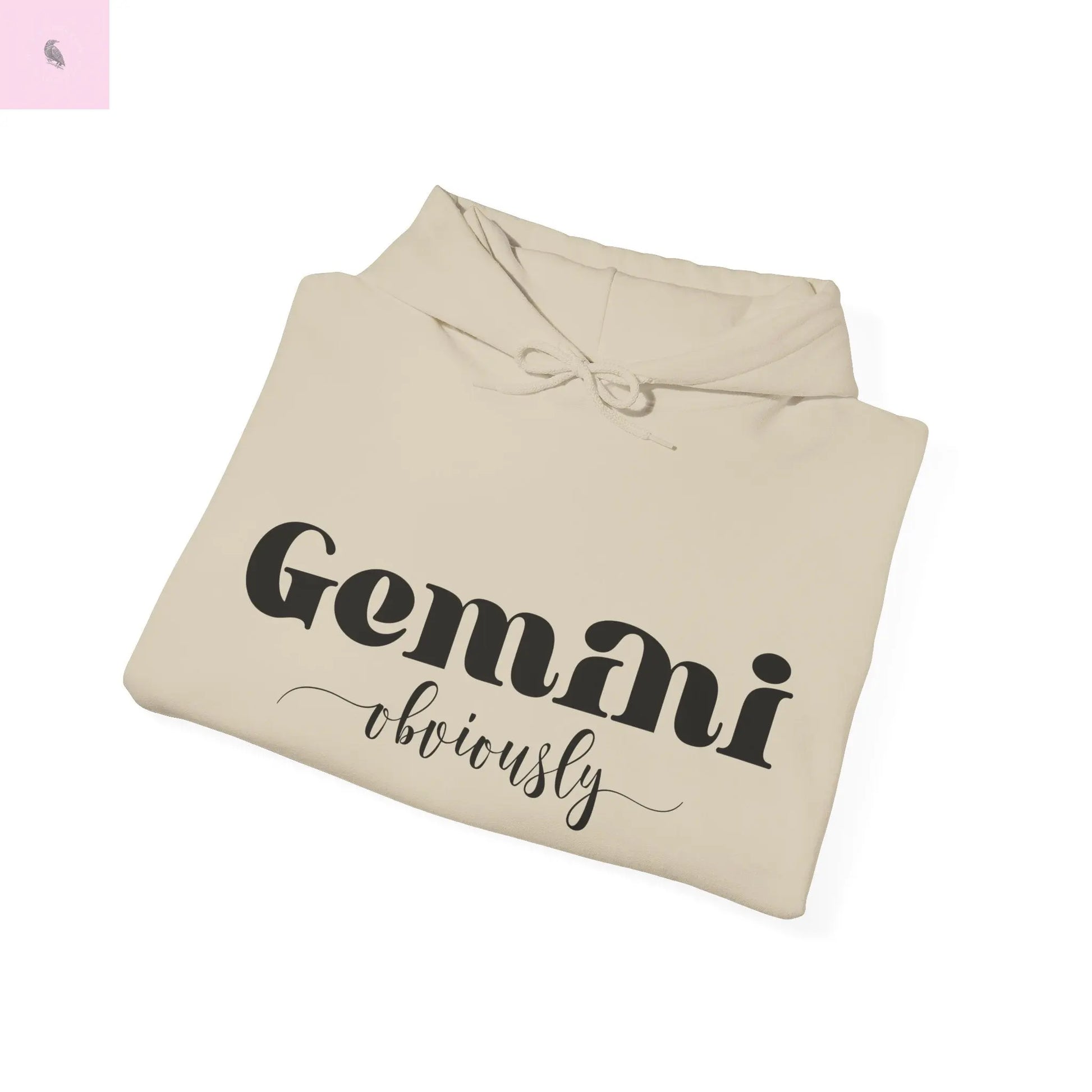 Gemini Lover Hoodie - Zodiac Star Sign Astrology Gift the flirty crow
