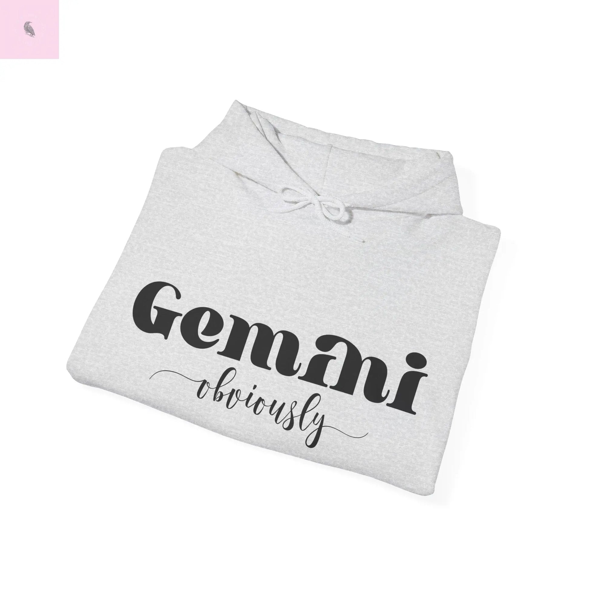 Gemini Lover Hoodie - Zodiac Star Sign Astrology Gift the flirty crow