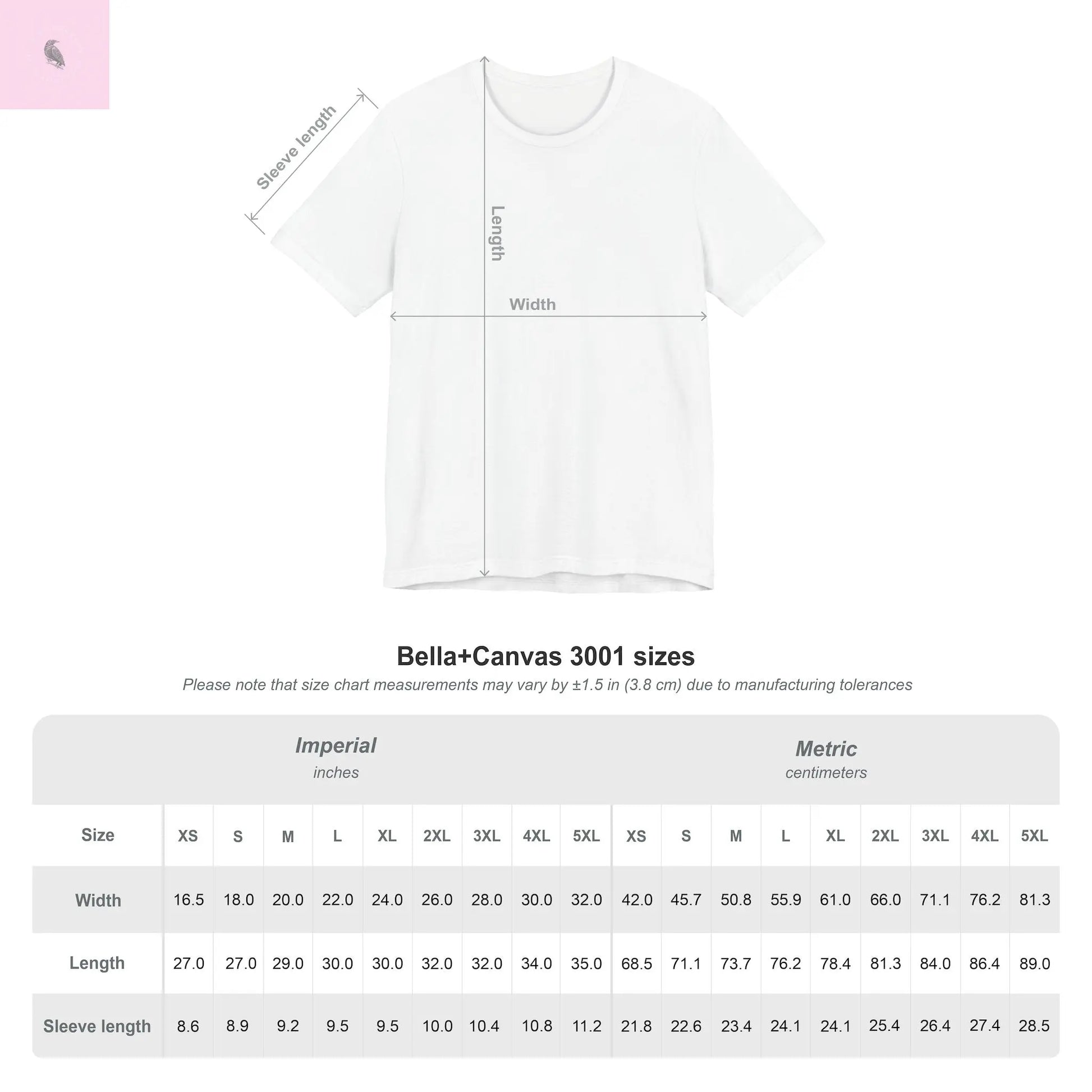 Champagne and French Fries Unisex Bella+ Canvas  tee - The flirty crow