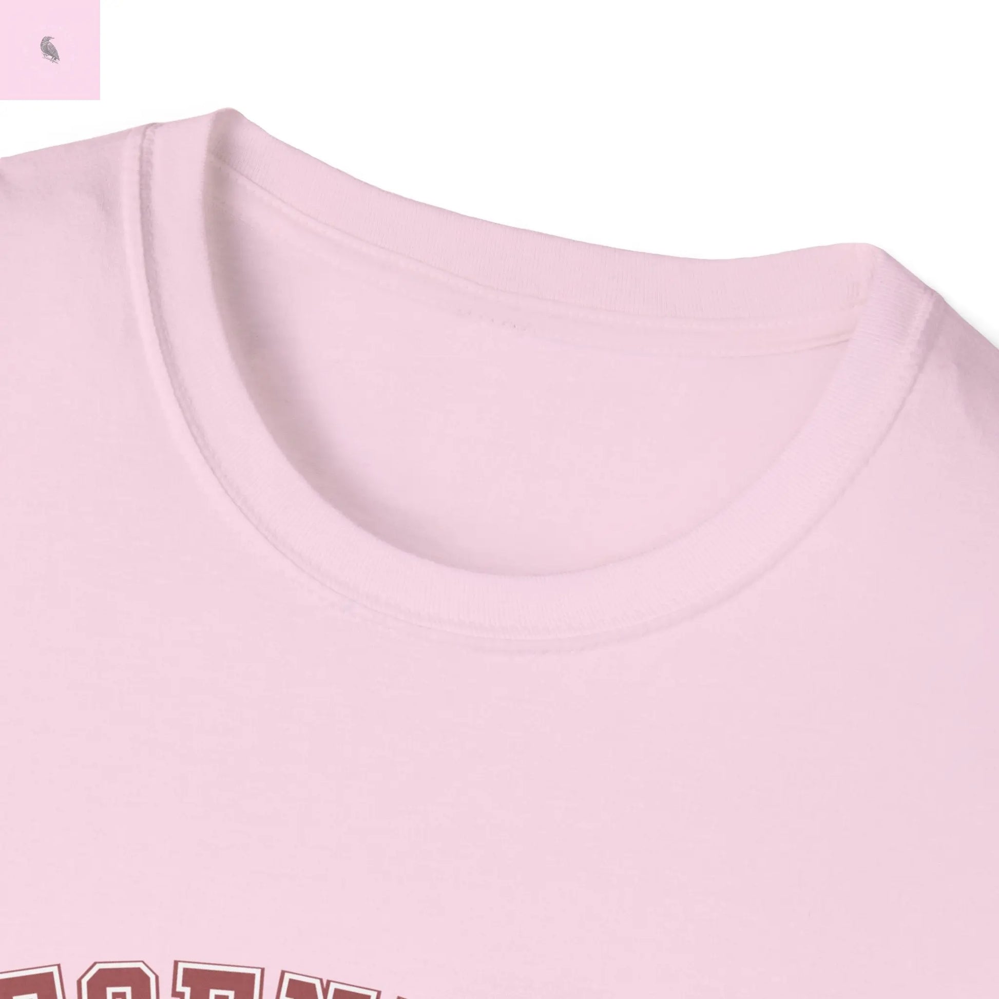 Legendary Rydell High Unisex Softstyle T-Shirt - Vintage highschool Tee The flirty crow