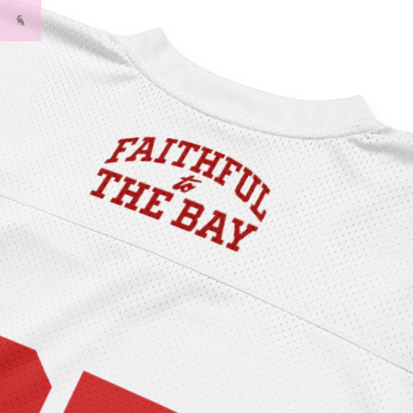 49ers fan Niner Gang mesh football jersey The flirty crow